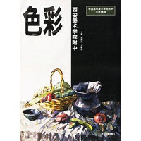 色彩(西安美术学院附中)/中国高等美术学院附中习作精选