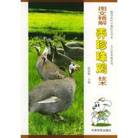 图文精解养珍珠鸡技术——建设农村小康社会书系·无公害养殖系列