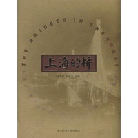 上海的桥