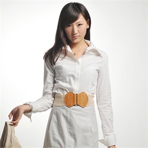2012春季女士衬衣时尚简约柔美OL风领边折纹气质衬衣_WS03