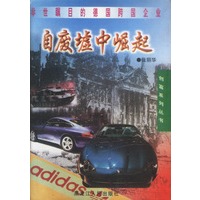 自废墟中崛起-举世瞩目的德国跨国企业