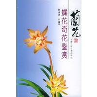 兰花蝶花奇花鉴赏