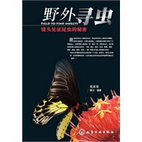 野外寻虫--镜头见证昆虫的秘密
