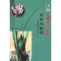 江浙春蕙兰欣赏与鉴别