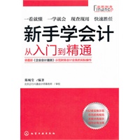安斯新手学财会示范系列--新手学会计:从入门到精通