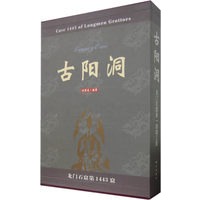 古阳洞：龙门石窟第1443窟（全三册）