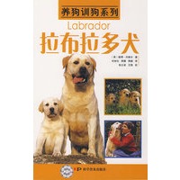 养狗训狗系列——拉布拉多犬