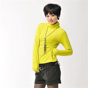 【新品】女装2010秋冬新款保暖内衣高领抓绒百搭打底T恤_WT05