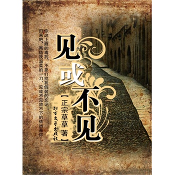 见或不见(电子书)