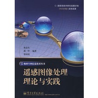 遥感图像处理理论与实践