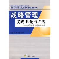战略管理：实践理论与方法