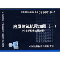 09SG619-1����