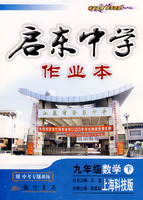 启东中学作业本：九年级数学 下（上海科技版）