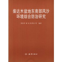 柴达木盆地东南部风沙环境综合防治研究