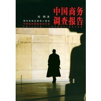 中国商务调查报告