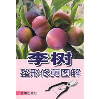 李树 整形修剪图解