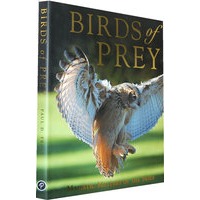Birds of Prey 猛禽