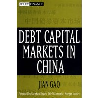 中国的借入资本市场Debt Capital Markets in China
