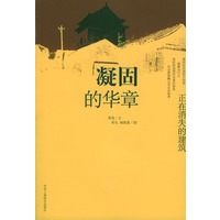 凝固的华章：正在消失的建筑