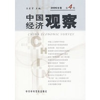 中国经济观察：2006年卷第4辑