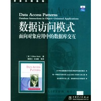数据访问模式：面向对象应用中的数据库交互
