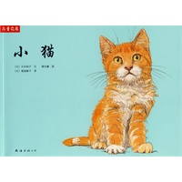 “儿童之友”系列：小猫
