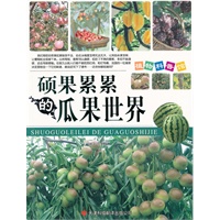 硕果累累的瓜果世界