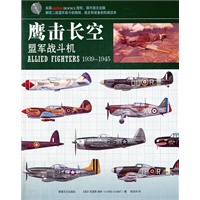 鹰击长空：盟军战斗机