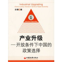 产业升级:开放条件下中国的政策选择