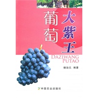 大紫王葡萄