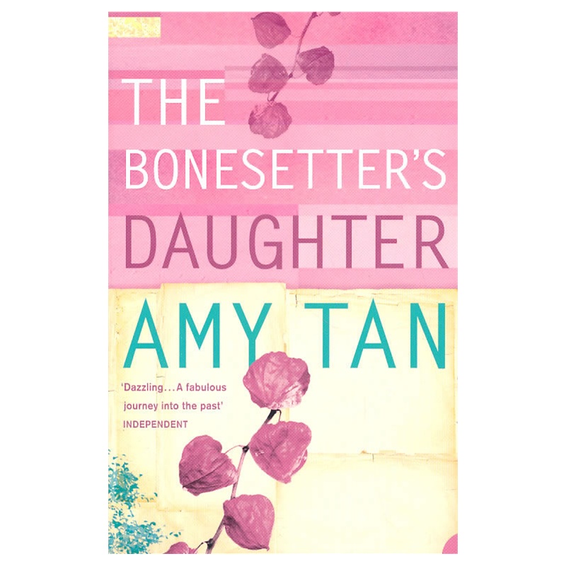 《The Bo<em></em>nesetters Daughter <em>接骨师的女儿</em>(谭恩
