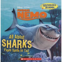 鲨鱼的结构All About Sharks From Tooth To Tail