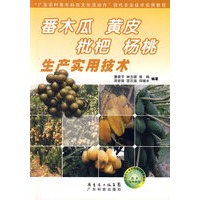 番木瓜 黄皮 枇杷 杨桃生产实用技术