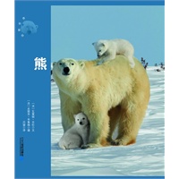 陆地力士--熊 动物世界大写真