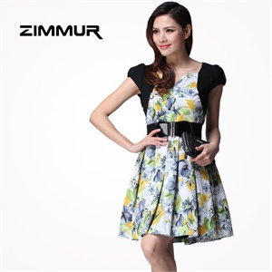 ZIMMUR 2012春装 夏装 高腰拼接百褶 连衣裙 Z12XQW432GC 显瘦