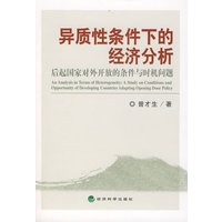 异质性条件下的经济分析