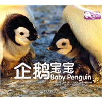 动物萌宝贝. 企鹅宝宝