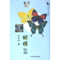蝴蝶收藏