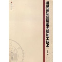 磁场辅助超精密完整加工技术