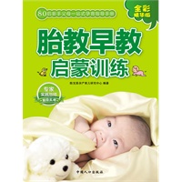 胎教早教启蒙训练-（80后父母一站式孕育手册）