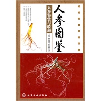 人参图鉴