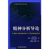 精神分析导论——心理咨询与治疗系列