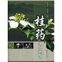 桂药原色图鉴
