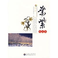 中国现代文学大师精品集丛书-叶紫
