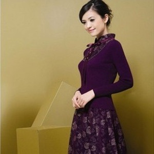 2011新款秋装新款 时尚韩版 有大码2/两件套气质修身女裙