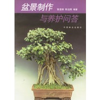 盆景制作与养护问答
