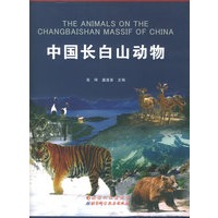 中国长白山动物