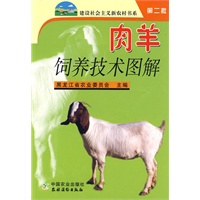 肉羊饲养技术图解