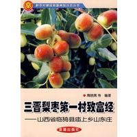三晋梨枣第一村致富经——山西省临猗县庙上乡山东庄