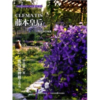 藤本皇后：铁线莲